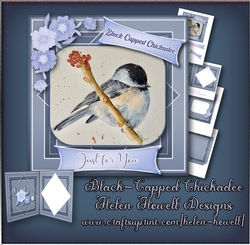 Black-Capped Chickadee - Use for any occasion you wish.