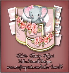 Hello Baby Girl - Bendy Card 