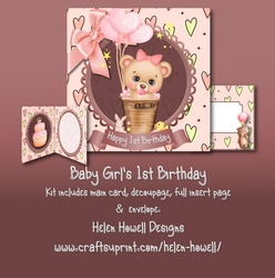 Baby Girls 1st Birthday