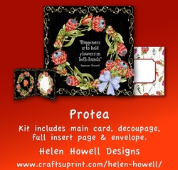 Protea - Blank Card