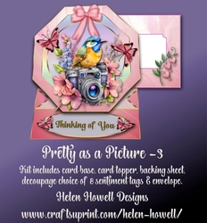 Pretty as a Picture - 3 - Multi Occasion Easel Card