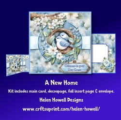 A New Home