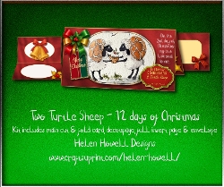Two Turtle Sheep