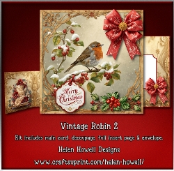 Vintage Robin 2