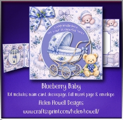 Blueberry Baby