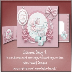 Welcome Baby 2