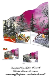Winter Snow