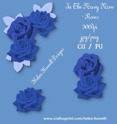 In the Navy Now - Roses