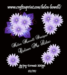 Colour Me Lilac