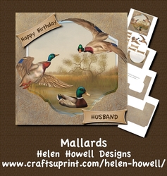 Mallards