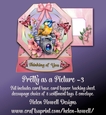 Pretty as a Picture - 3 - Multi Occasion  Easel Card
