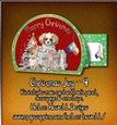 Christmas Joy - 4