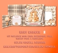 Baby Shower 2