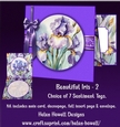 Beautiful Iris - 2 - Blank Card - but comes with 7 sentiment tags.