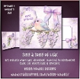 Sing a song of Lilac