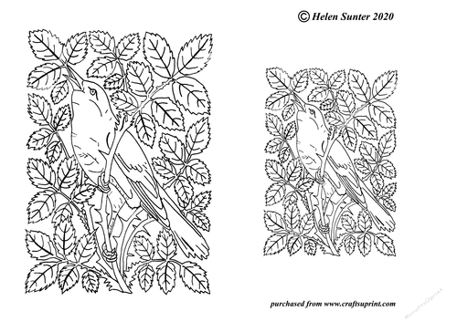 Songbird Digital Stamp Line Art Digi Stamp