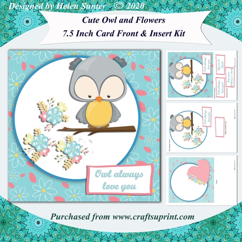 Cute Owl and Flowers 7.5 Inch Card Front and Insert Mini Kit