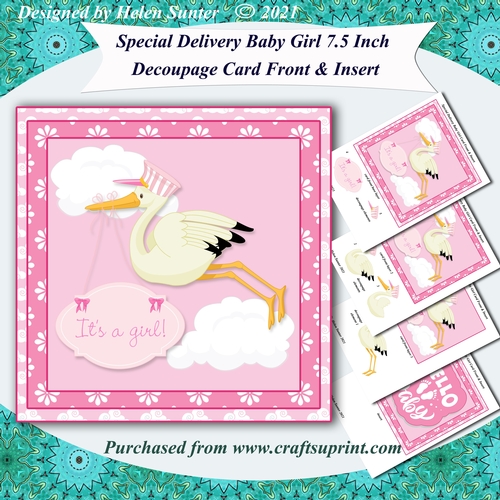 Special Delivery Baby Girl 7.5 Inch Card Front & Insert