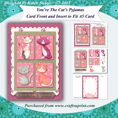 You Are The Cats Pyjamas Card Front & Insert to fit A5 Card