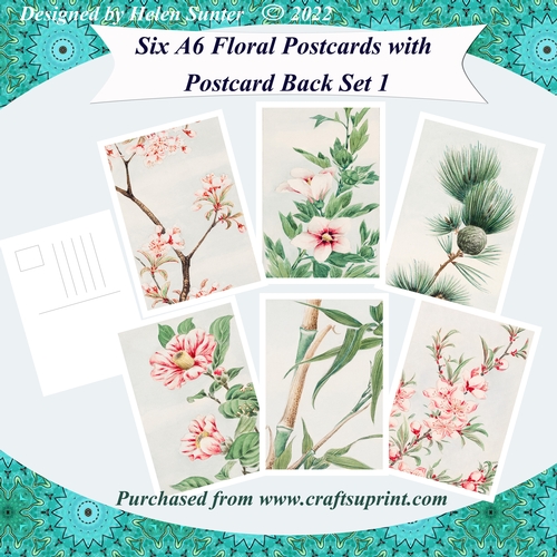 Floral A6 Postcards with Postcard Back Set 1