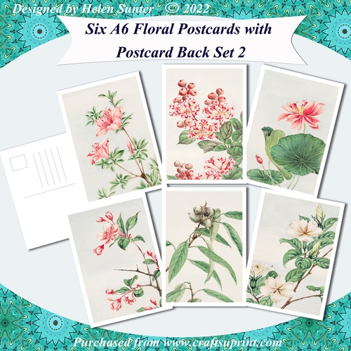 Floral A6 Postcards with Postcard Back Set 2