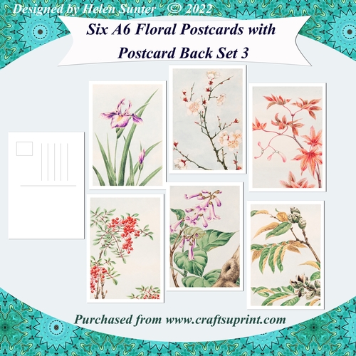 Floral A6 Postcards with Postcard Back Set 3