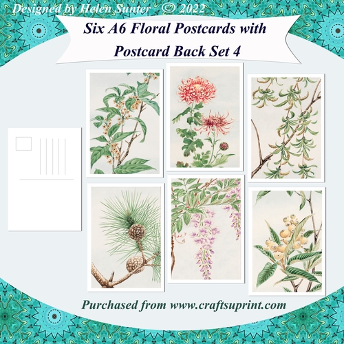 Floral A6 Postcards with Postcard Back Set 4