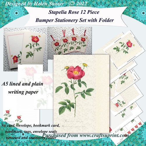 Stapelia Rose 12 Piece Bumper Stationery Set with Folder