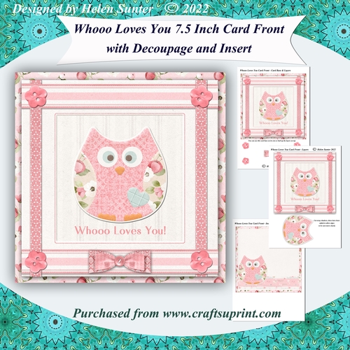 Whooo Loves You New Baby Girl or Birthday Card Front and Insert