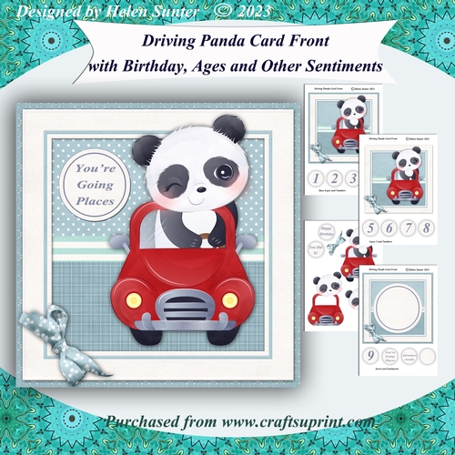 Driving Panda Card Front with Sentiments for Birthday, Ages, & More
