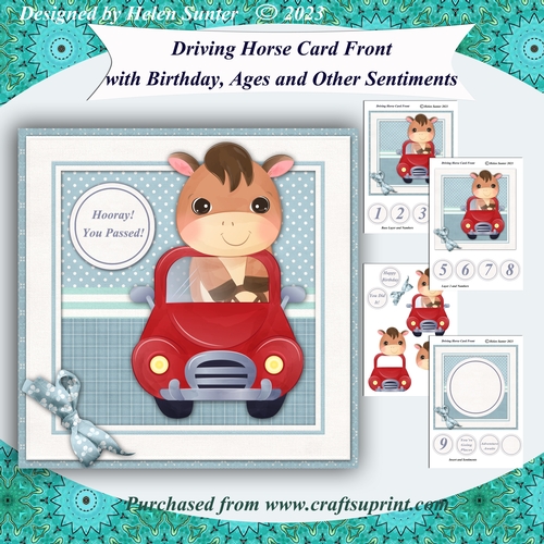 Driving Horse Card Front with Sentiments for Birthday, Ages, & More