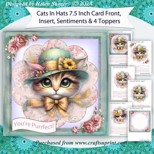Cats In Hats 7.5 Inch Card Front with Insert, Sentiments and Four Toppers