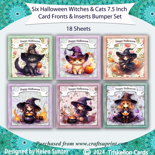 Six Halloween Witches and Cats 7.5 Inch Card Fronts and Inserts Bumper Kit
