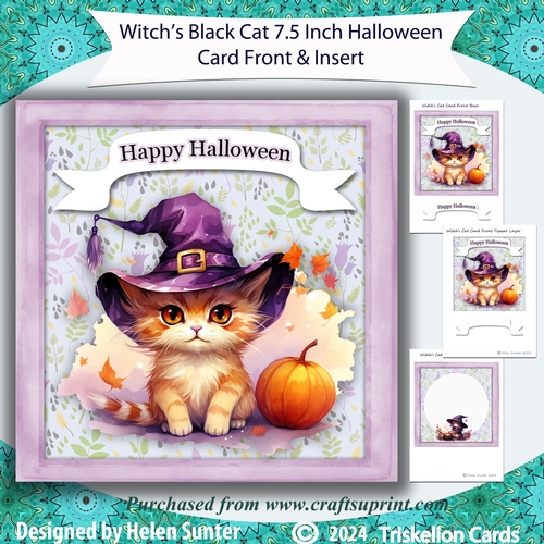 Witchs Cat 7.5 Inch Halloween Card Front and Insert