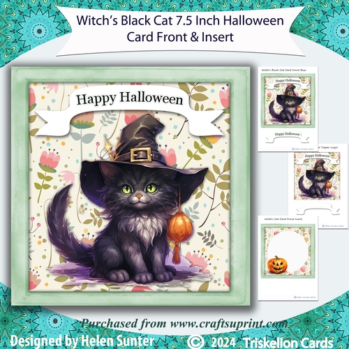 Witchs Black Cat 7.5 Inch Halloween Card Front and Insert