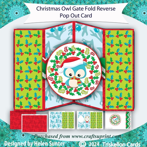 Owl Gatefold Reverse Pop Out Christmas Card