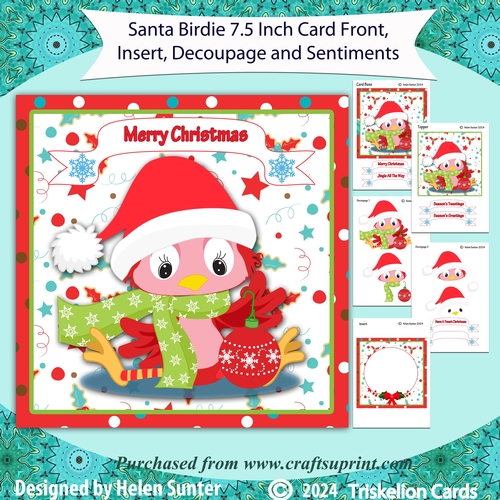 Santa Birdie 7.5 Inch Card Front and Insert