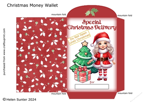 Girl Santa Christmas Money Wallet / Envelope