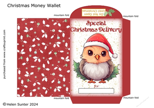 Christmas Bird Money Wallet / Envelope