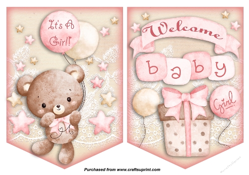 Welcome Baby Girl Bunting / Banner
