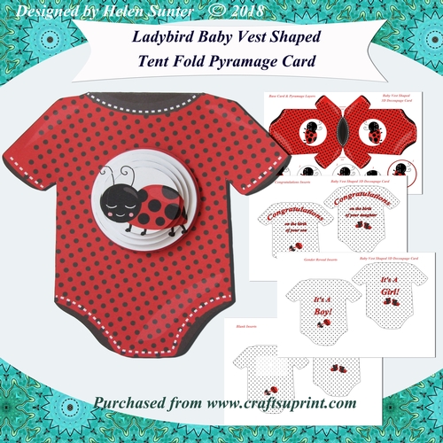 Ladybird Baby Vest Shaped Tent Fold Pyramage Card Kit