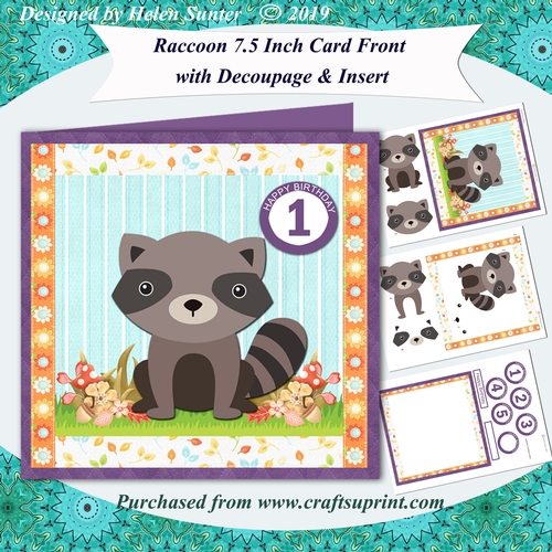 Raccoon Childrens Birthday 7.5 Inch Card Front with Decoupage & Insert & Age Tiles