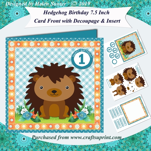 Hedgehog Birthday or New Baby 7.5 Inch Card Front with Decoupage & Insert