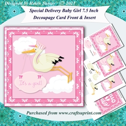 Special Delivery Baby Girl 7.5 Inch Card Front & Insert