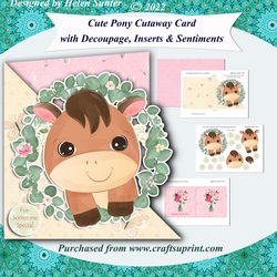 Cute Pony Cutaway Card with Decoupage & Inserts & Various Sentiments