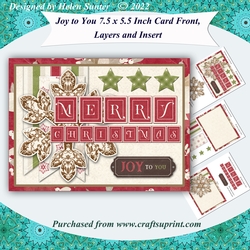 Joy to You 7.5 x 5.5 Inch Merry Christmas Card Front