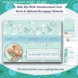 Baby Boy Birth Announcement Card and Insert