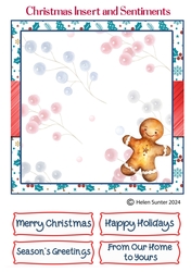 Blank Christmas Insert and Sentiments