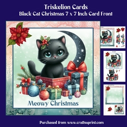 Black Cat Christmas 7 x 7 Inch Card Front with Decoupage and Insert and Gift Tag