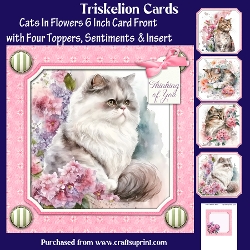 Cats in Flowers 6 Inch Card Front with Four Toppers and Insert